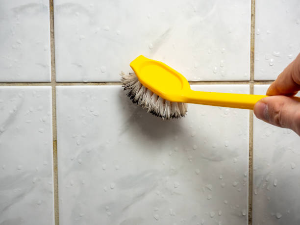 Best Mold Removal Near Me  in Marienville, PA