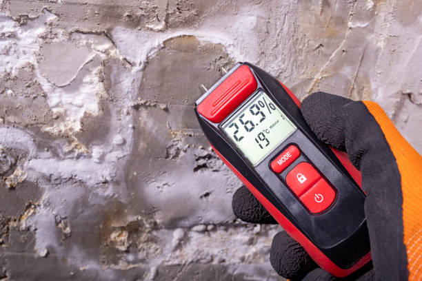 Best Commercial Mold Removal  in Marienville, PA