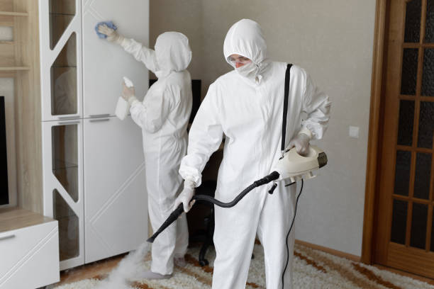 Mold Removal and Inspection in Marienville, PA